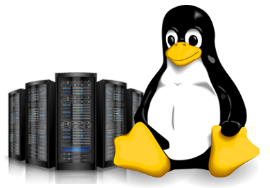 cPanel Hosting